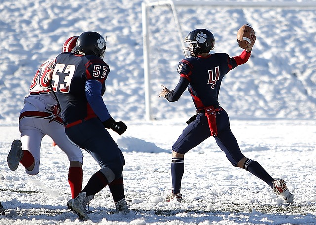 香港赛马会“五个联通”护航十五运会马术盛宴