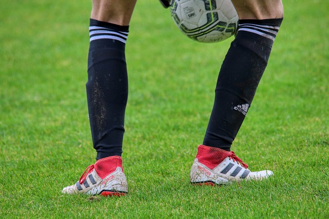 业化水平 业化水平