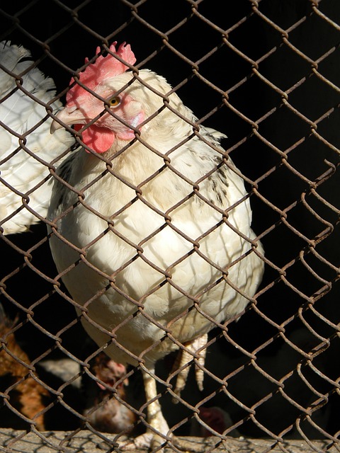 奋斗的意义 奋斗的意义